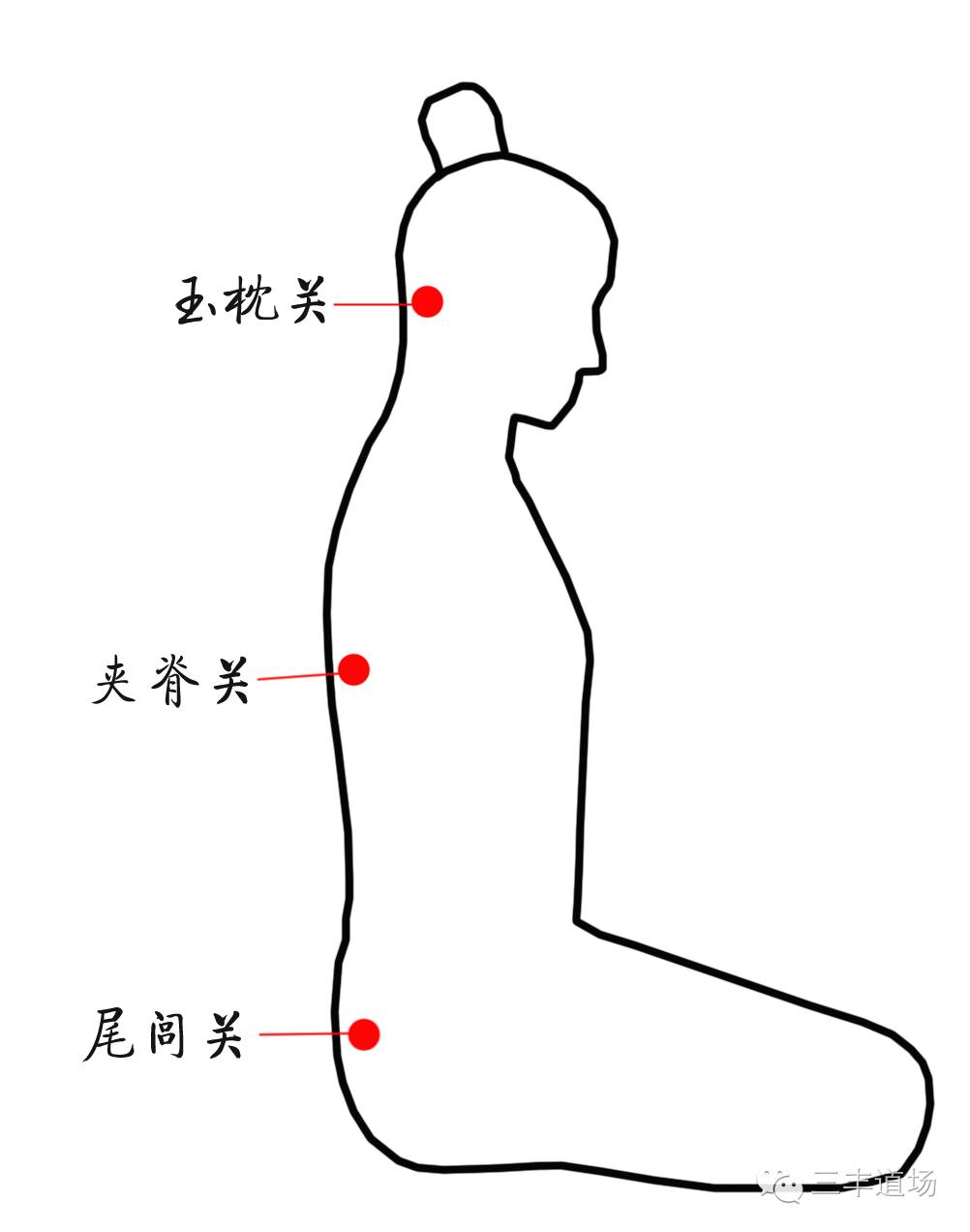 夹脊双关图片