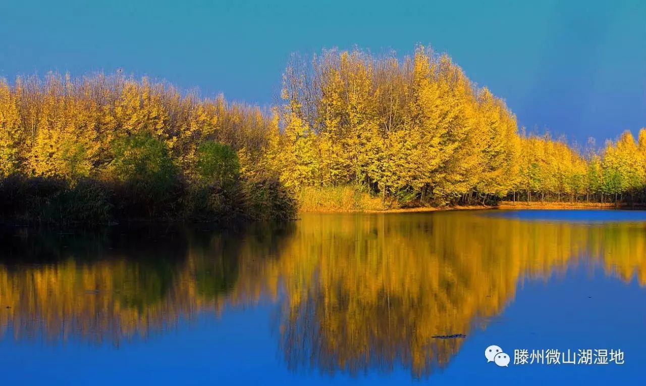 "楚天千里清秋,水随天去秋无际"辛弃疾的这首词,写出了万顷微湖的大