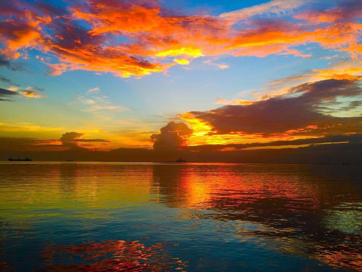 向明还来不及呼痛久待在马尼拉半空的那枚烈日黄昏的钟响一催便从滨海