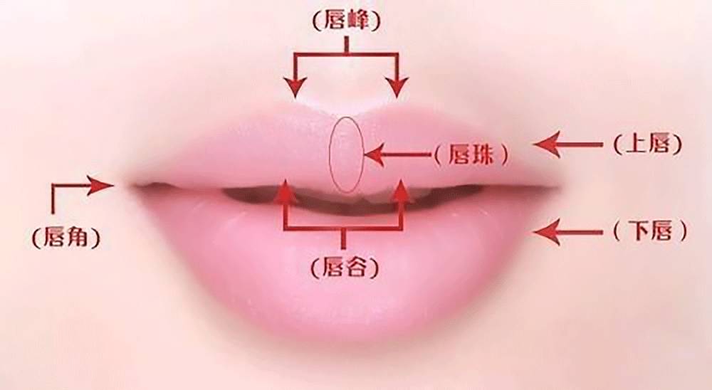 刘亦菲石原里美的唇形并不算完美,但为啥涂上口红之后这么好看