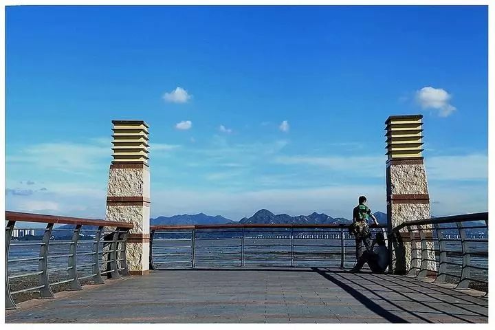 深圳湾徒步图片