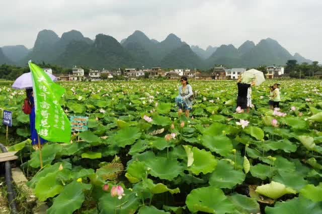 西乡塘区长韦翯钰图片