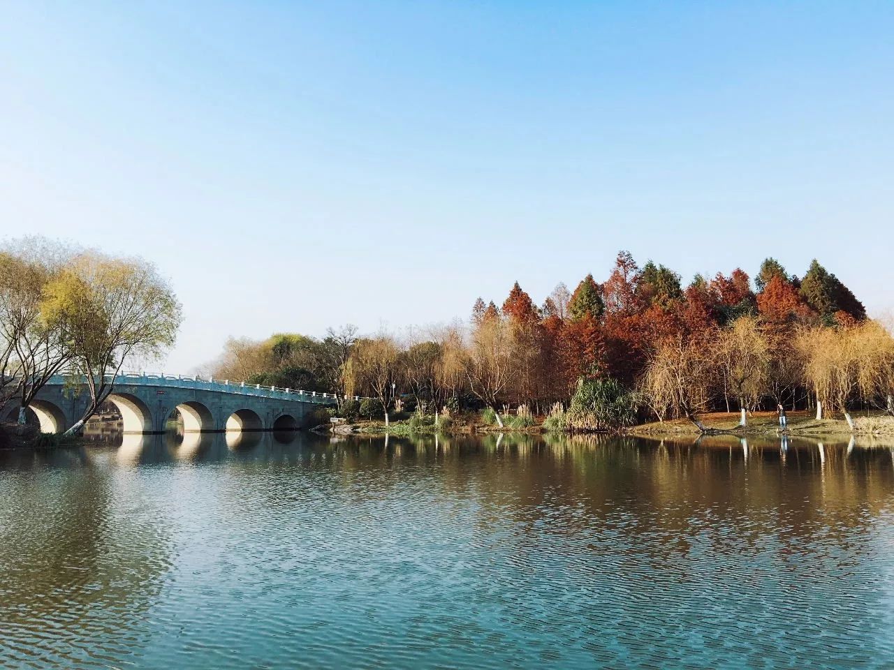 金風送爽 秋色宜人同時,7號線顧村公園站2號口已重新啟用