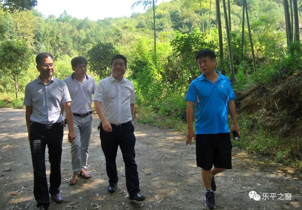 乐平市领导赴浯口镇,鸬鹚乡考察新农村建设工作