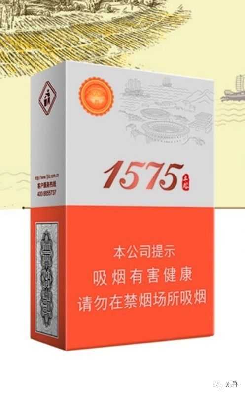 七匹狼1575图片