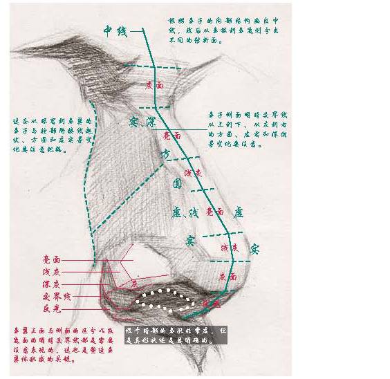 素描鼻子的画法精讲,美院教授手把手教你画五官