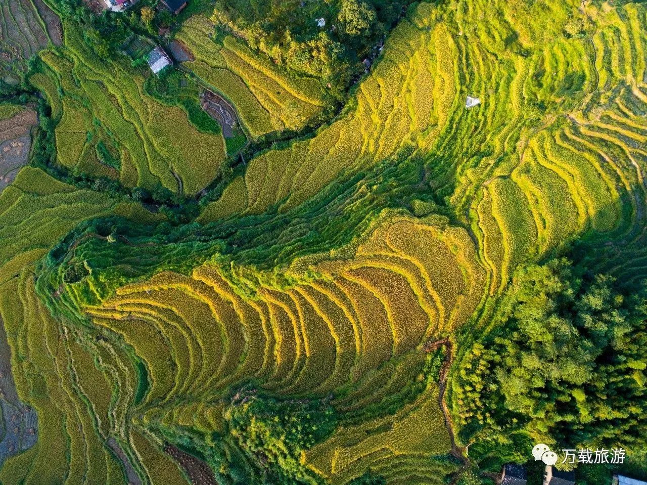 万载县茭湖梯田,我最难忘的乡愁!