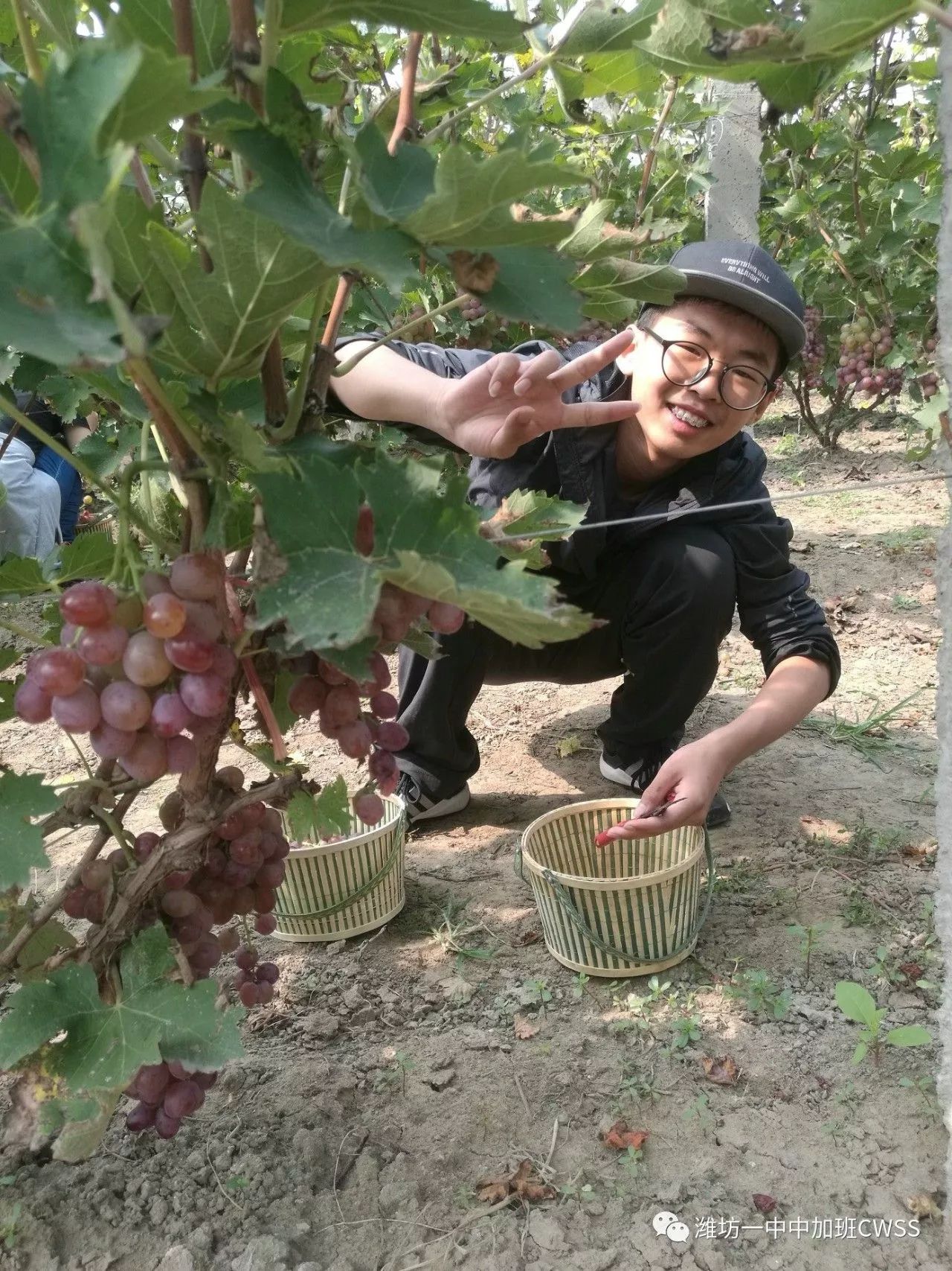 國際部師生走進開軒農場