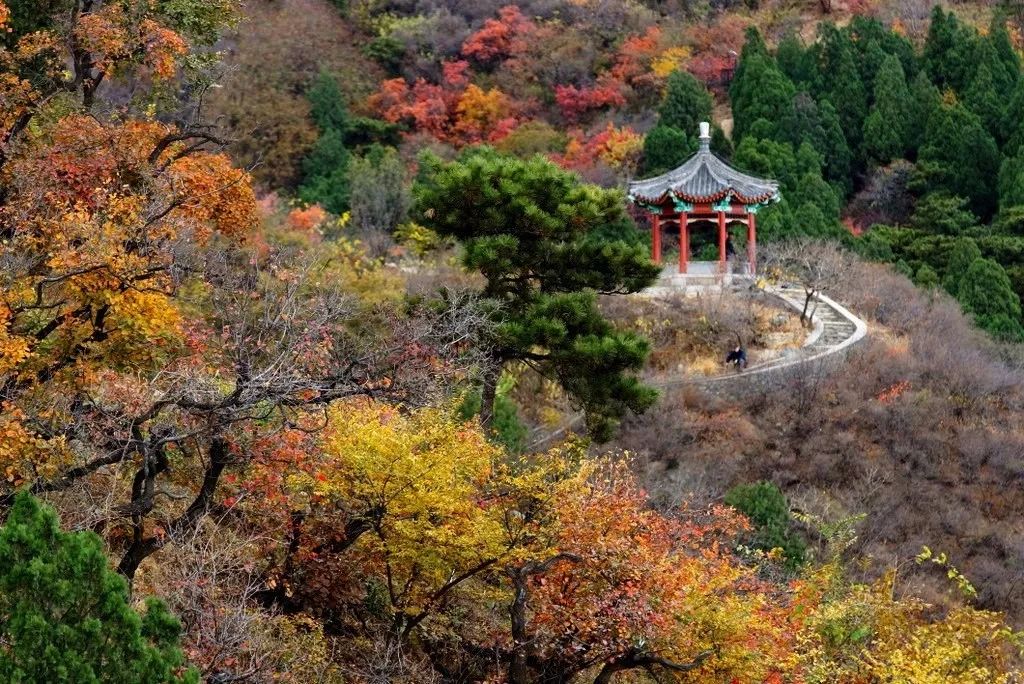 香山公園來一睹這純粹的京城秋色許多人選擇在深秋時節大家想到的一定