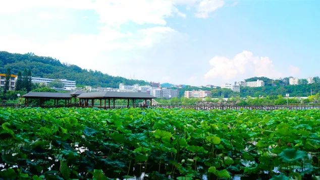 福建農林大學報考點現場報名確認有何注意事項?