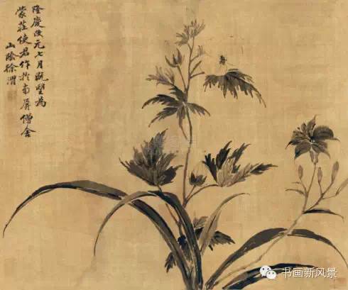 明 徐渭 墨芙蓉明 徐渭 枇 杷 立軸絹本明 徐渭 石榴圖 鏡心 設色紙本