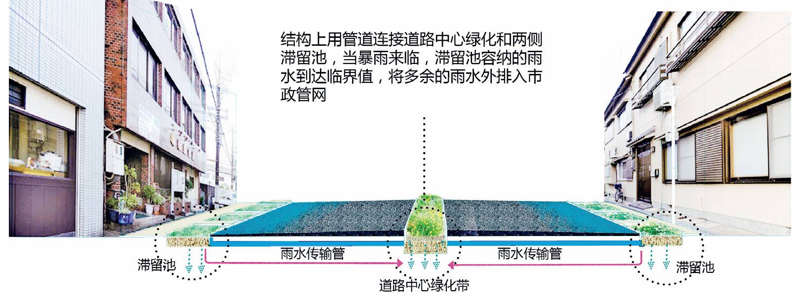 24种海绵城市设计措施全图解