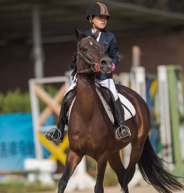 比賽共分6個項目,北京國發馬術俱樂部的小騎手有10個人馬組合進入前八