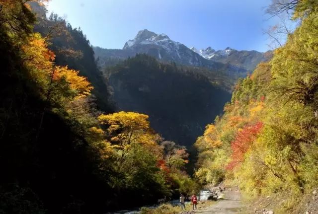 【10月3日】到白馬王朗遇見最美的你