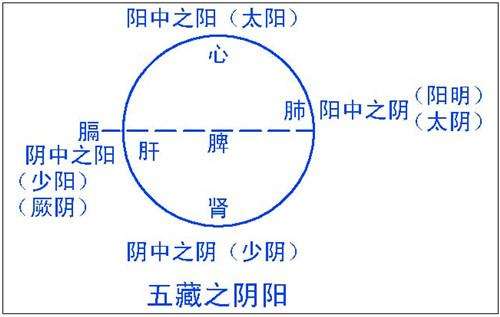 时间|刘先银经典点说《黄帝内经》的时间哲学，《道德经》反者道之动，弱者道之用