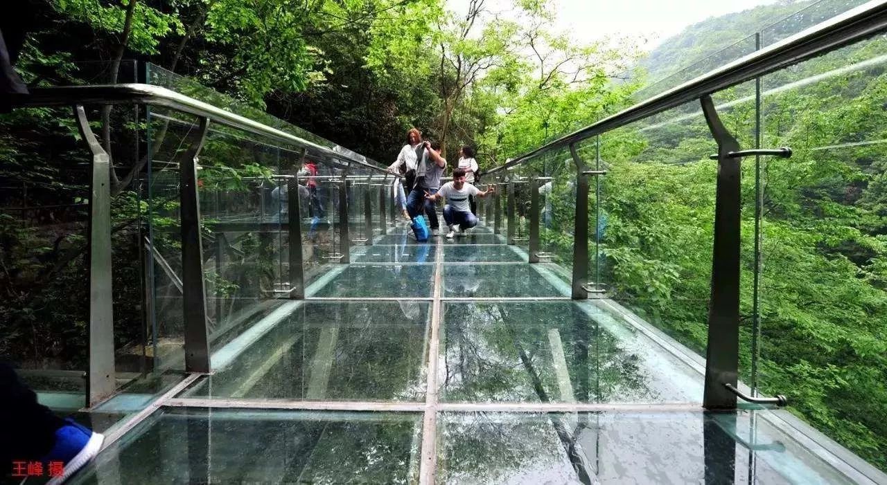 龙津溪地玻璃桥图片
