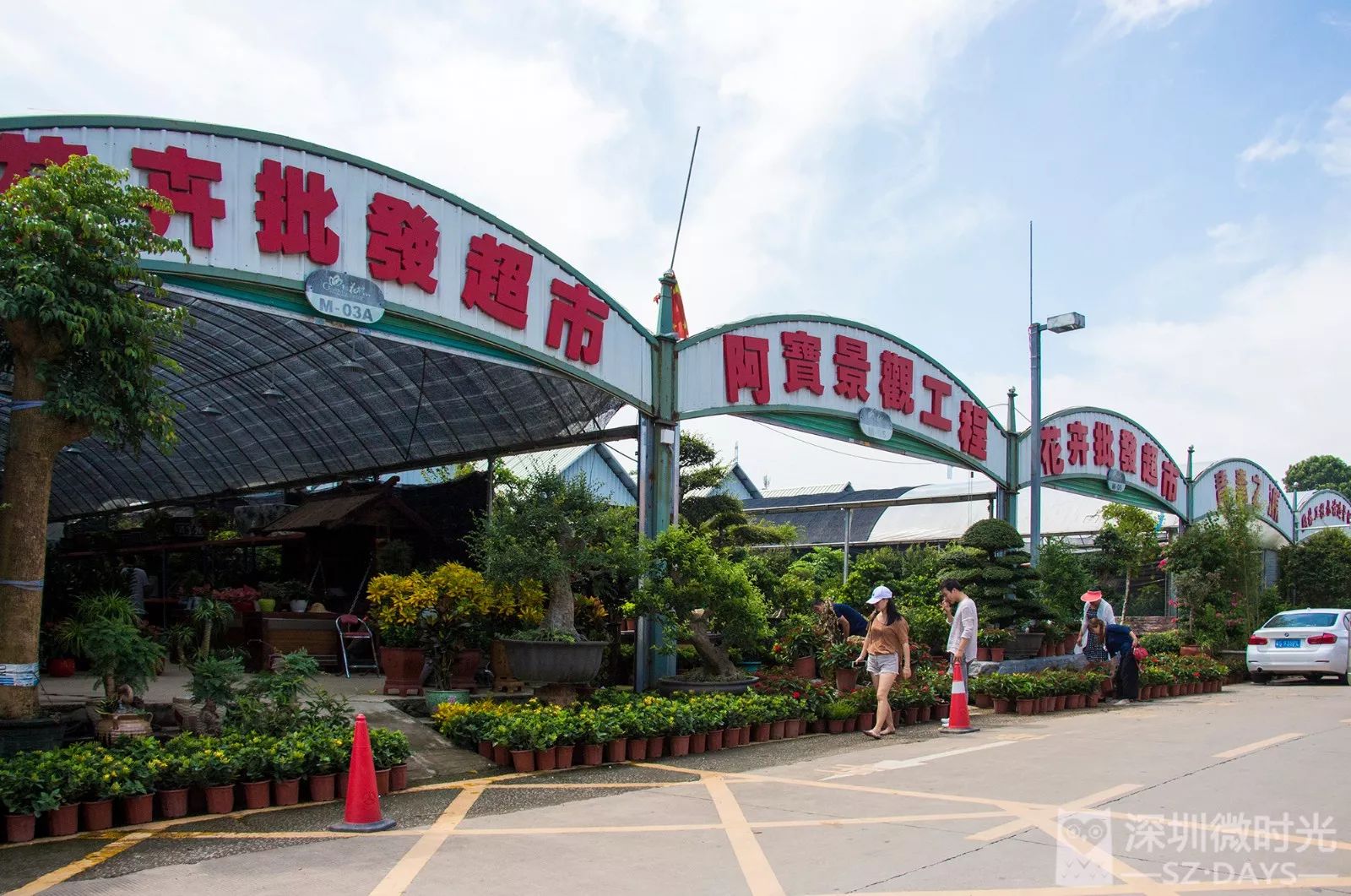 深圳八卦岭花卉市场图片