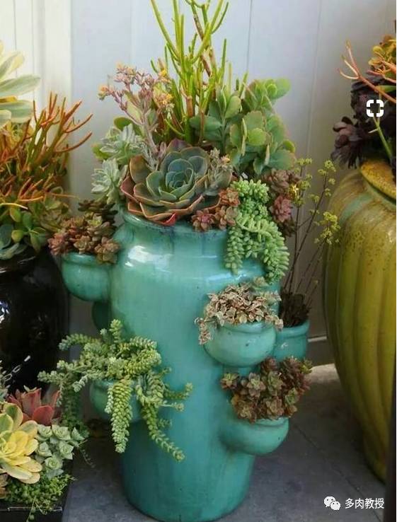 废旧水缸怎么改造花盆图片