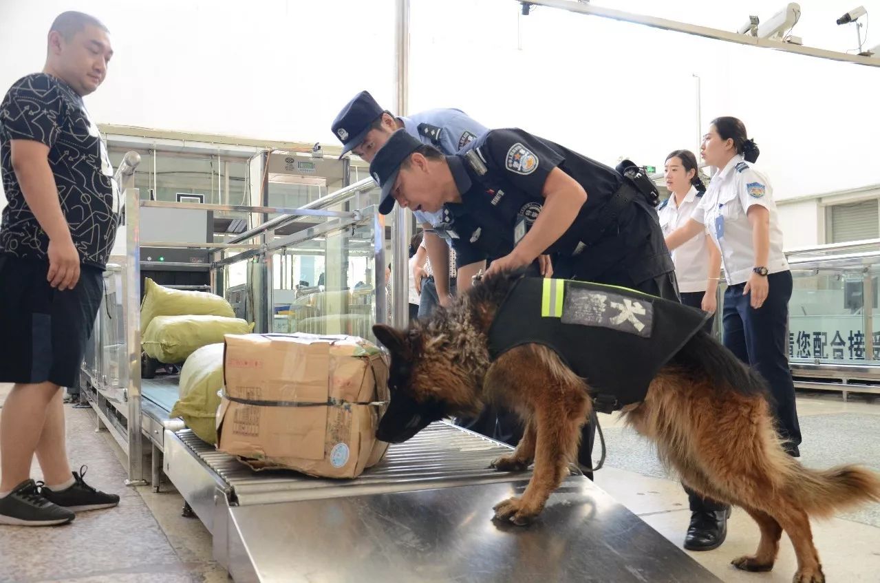 警犬训导员带领警犬"红月"和"公主"在火车站广场巡逻执勤.