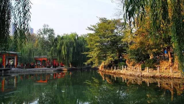 寺 美 食 美 夜 美 園 美 北京大,上海富,不如石家莊的中山路