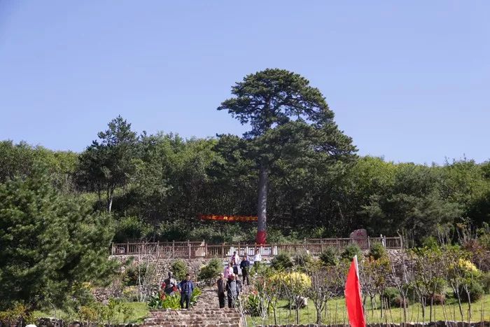 到通明山景區參觀 老幹部一行先後走進華嚴寺村文史館,