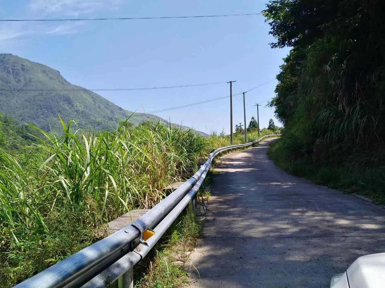 溫州強力推進客車