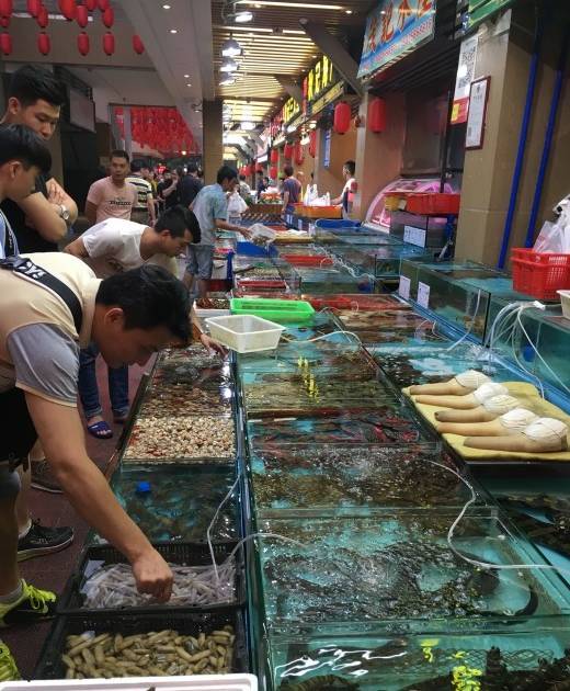 全国最大的鲜活水产品批发市场,在这里能吃到来自世界各地的生猛海鲜