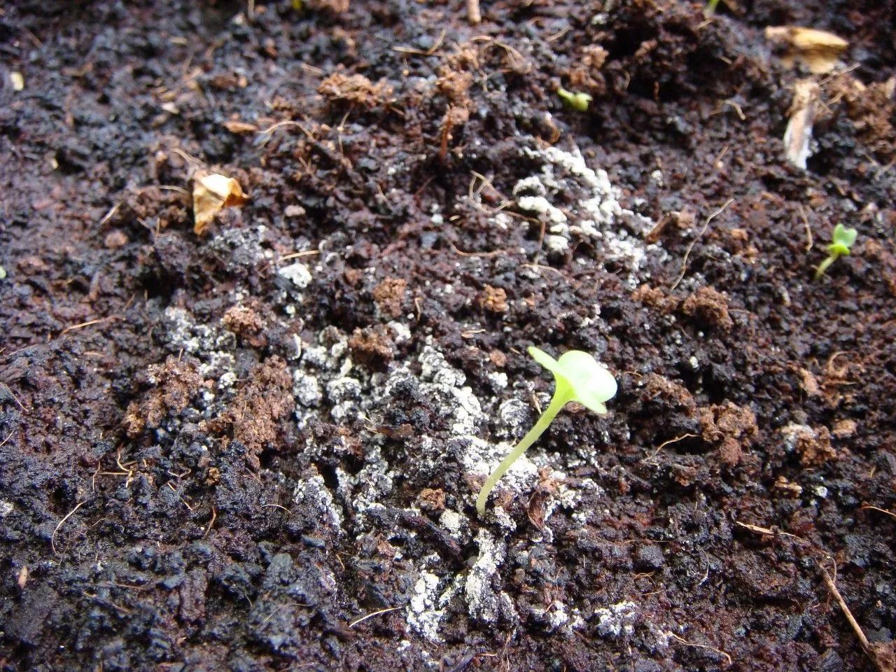 关于土壤酸化的几个冷知识 | 土壤与农业可持续发展国家重点实验室