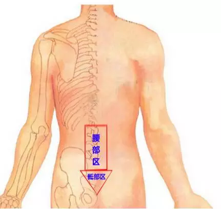 下腰部在哪个位置图片