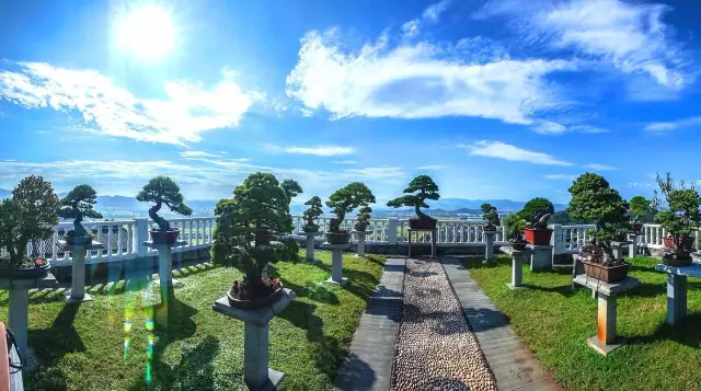 這裡就是中國風景園—綠野山居!