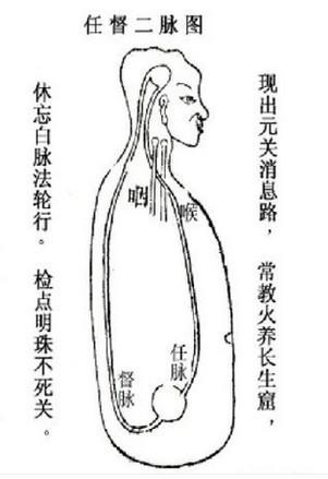 打通任督二脉方法图图片