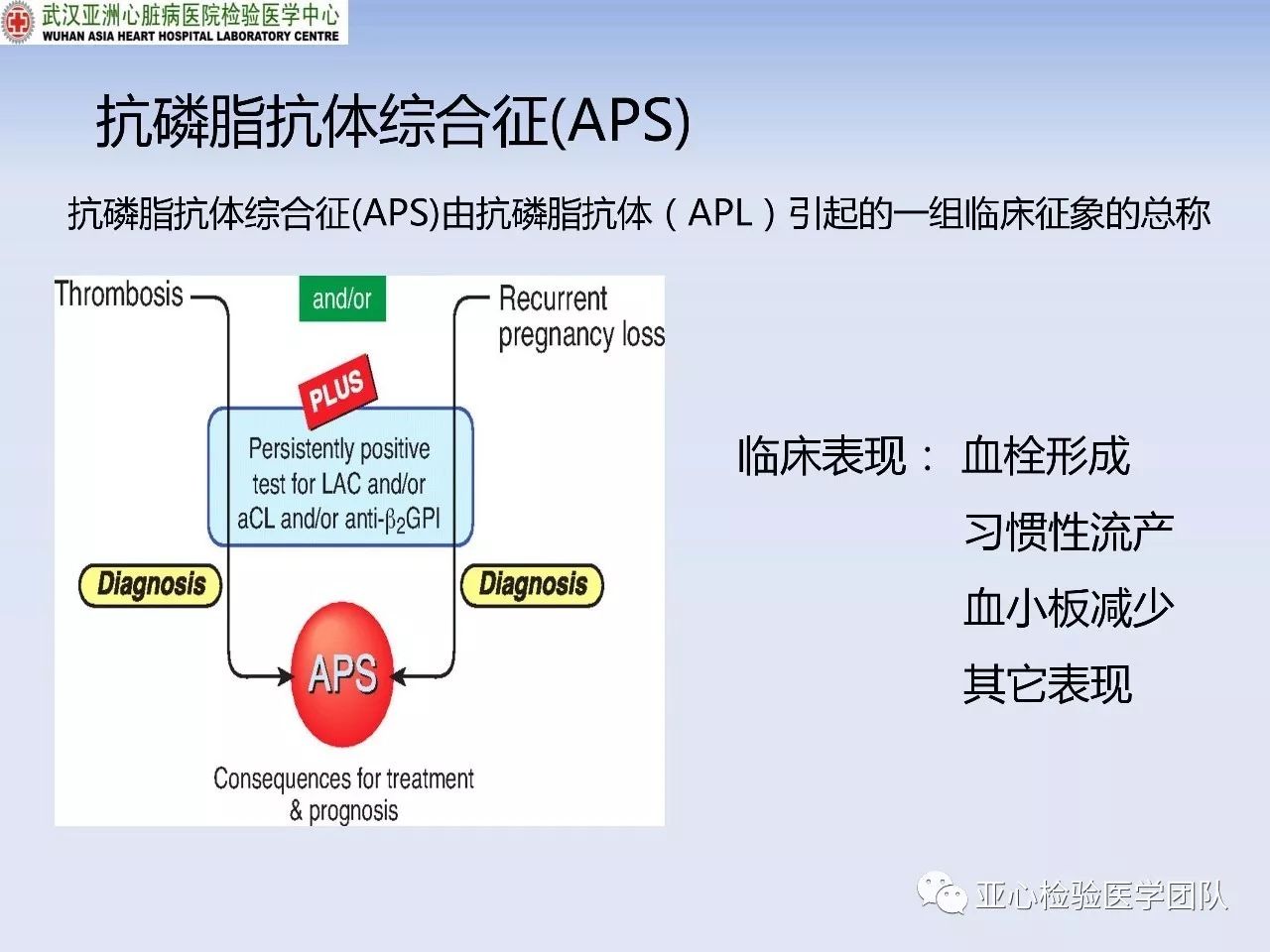 抗磷脂综合征与抗磷脂抗体