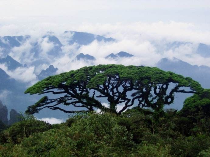 金秀县山水瑶城景区 象州古象温泉旅游区景区 合山市矿山公园 来宾市