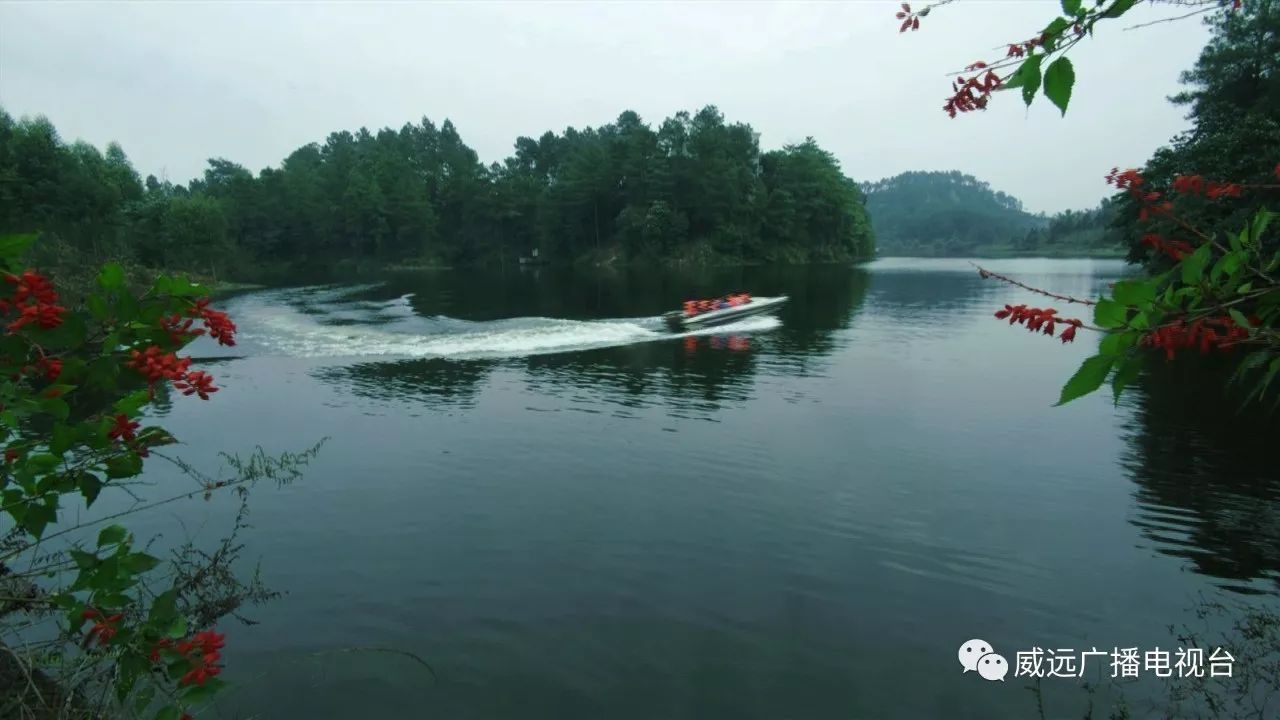 从小生活在威远竟然不知道她是这样的