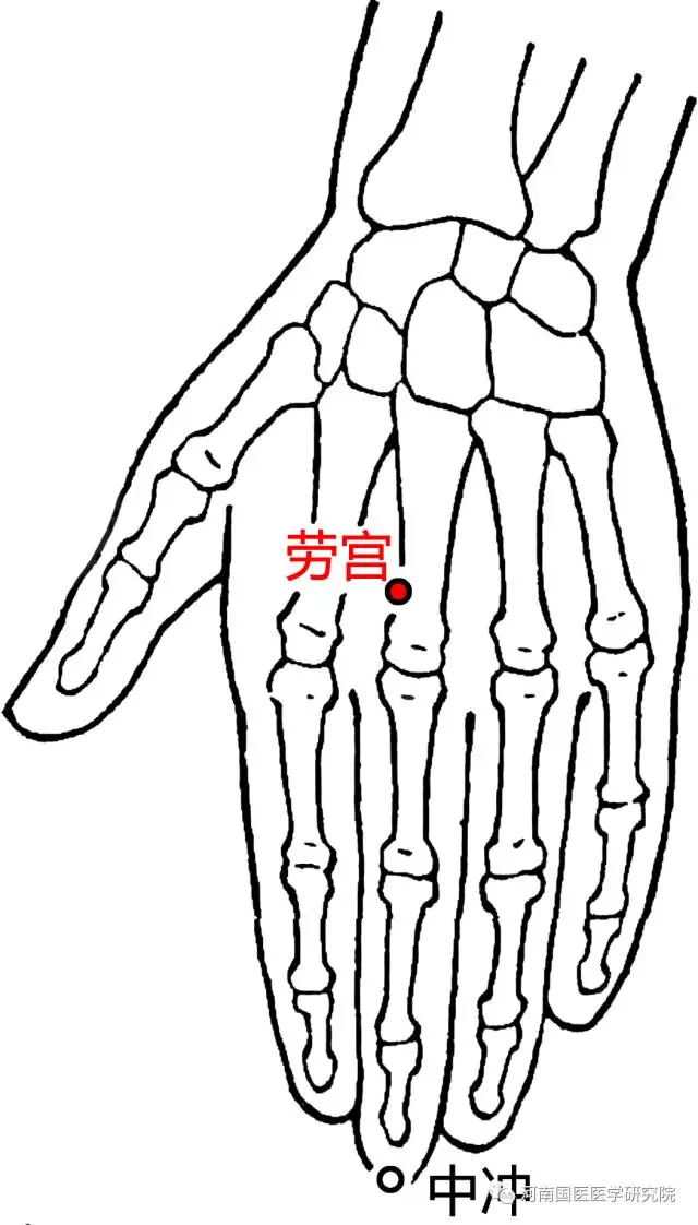 劳宫准确位置图片定位图片