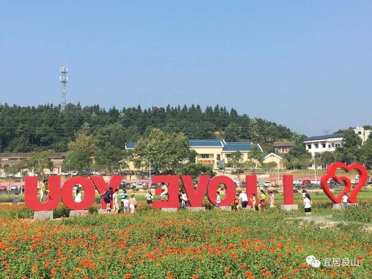 新余下保村花海门票图片