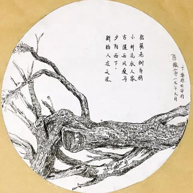 梧桐树画法素描图片