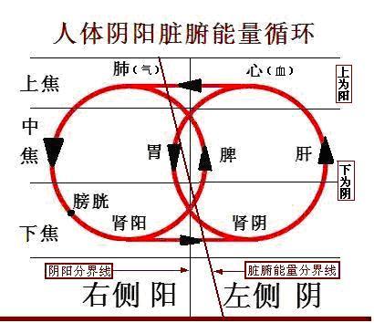 观点评论|刘先银经典点说《黄帝内经》亥寝鸣天鼓，寅兴漱玉津；气是续命芝，津是延年药