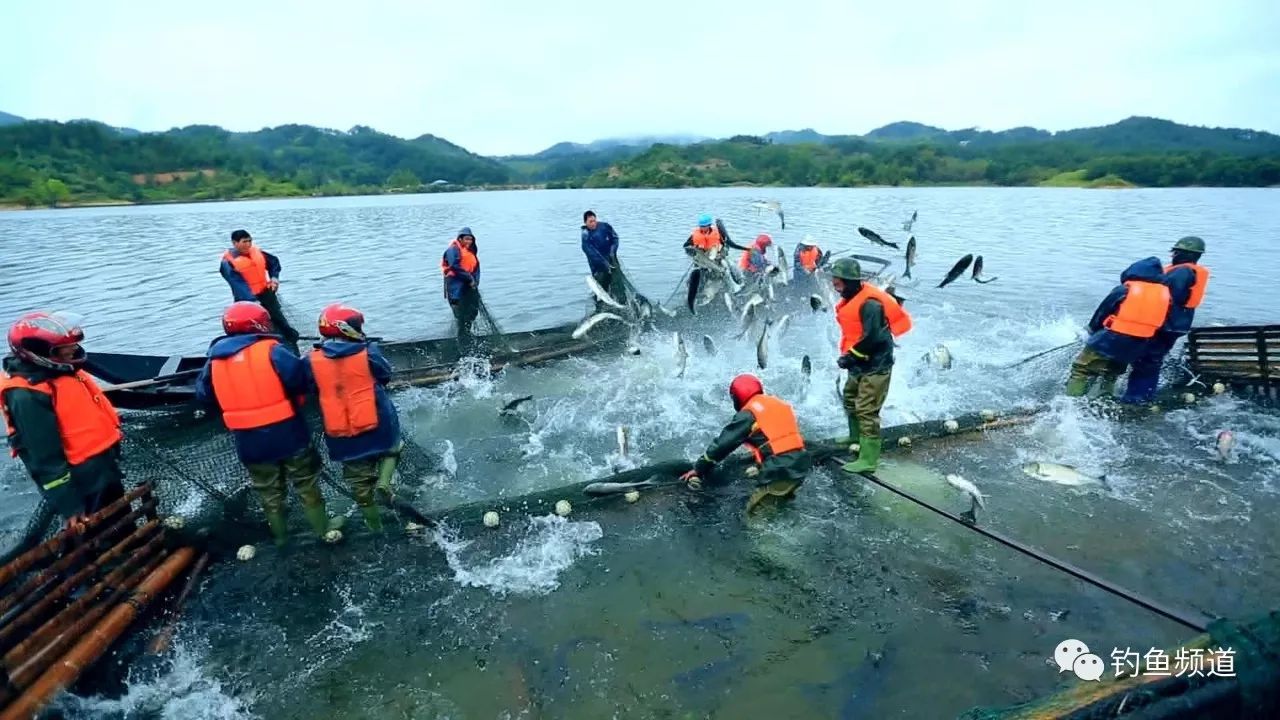 大同鎮人民政府,湖北電視臺《休閒指南》頻道,蘄春大同水庫管理局承辦