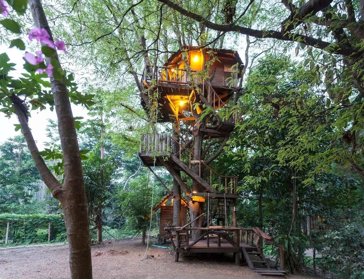 全世界最美的树屋!野趣,自然,梦幻,无比向往的童话世界