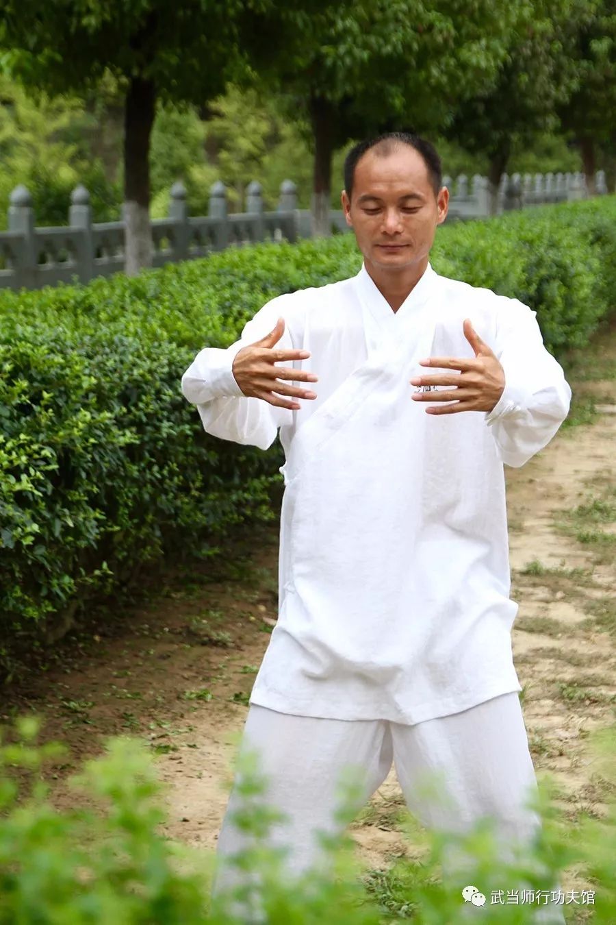 百動不如一站祛病養生從站樁開始