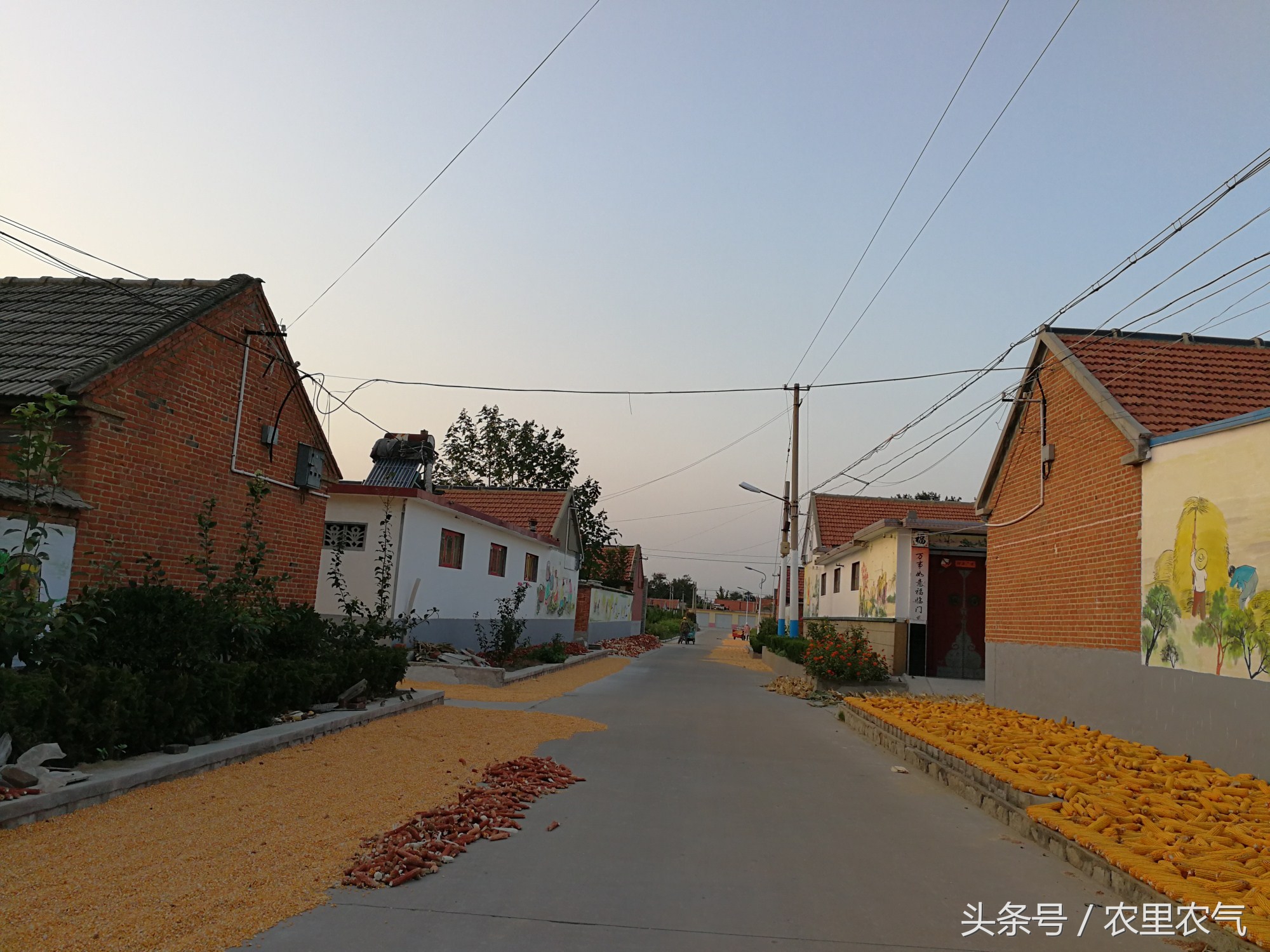 北方农村实景图片图片