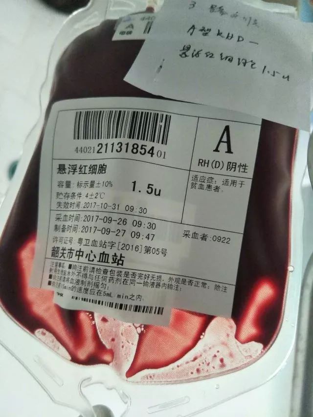 熊猫血化验单图片正常图片