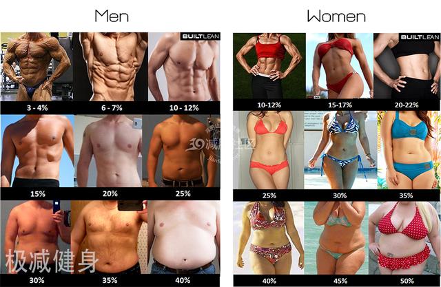 体脂率10 和体脂率 的人分别过着什么样的生活 你更喜欢哪种