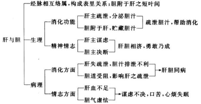 五脏六腑间有没有关系