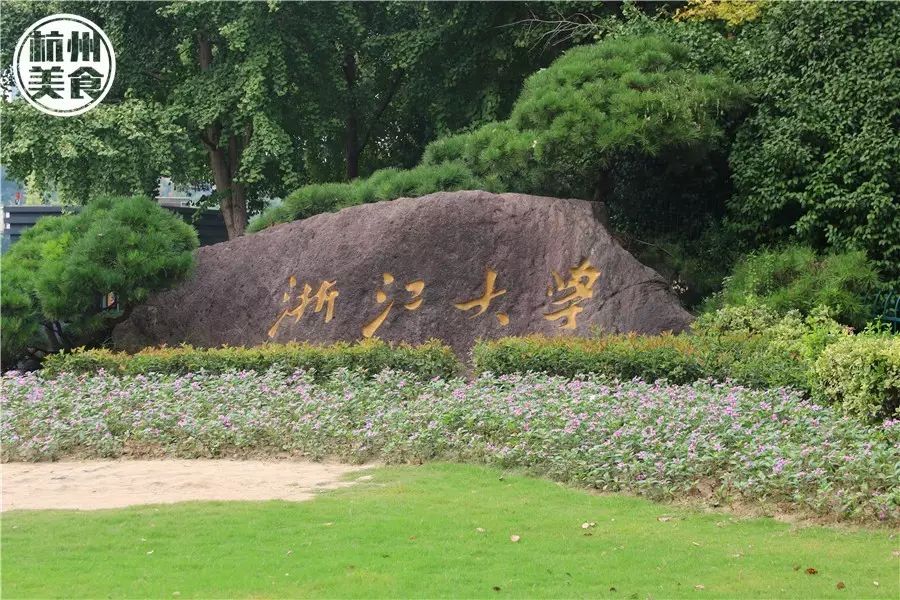 浙大紫金港校区东门图片