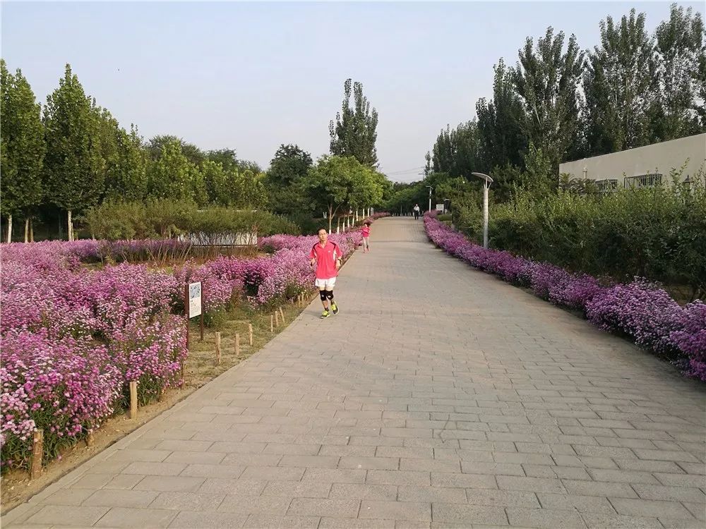 立湯路西側位於昌平區東小口鎮南部東小口森林公園之一一起逛逛吧景觀