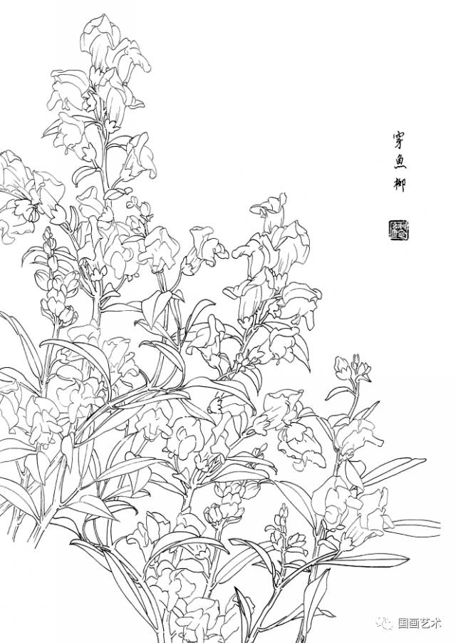 白描花卉寫生範本百花譜4