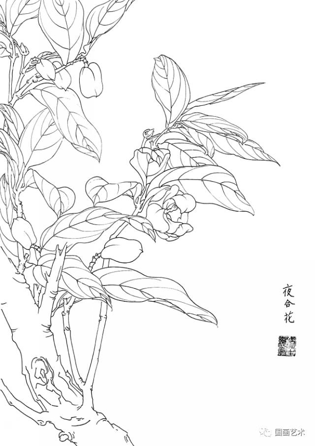 白描花卉寫生範本百花譜4