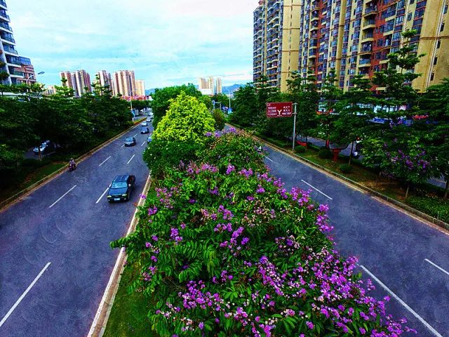 河源建设大道图片